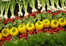 امکانسنجی و طرح توجیهی فنی اقتصادی احداث گلخانه محصولات سبزی و صیفی امکانسنجی و طرح توجیهی فنی اقتصادی احداث گلخانه محصولات سبزی و صیفی