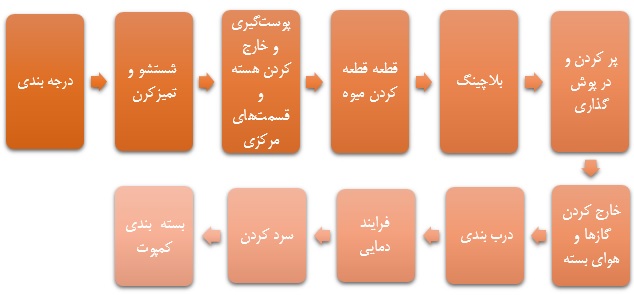 طرح توجیهی احداث واحد مجتمع‌های صنایع غذایی (فرآوری میوه و سبزی)