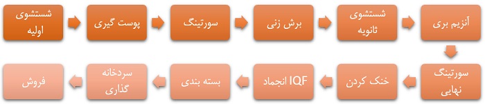 انجماد میوه و سبزیجات