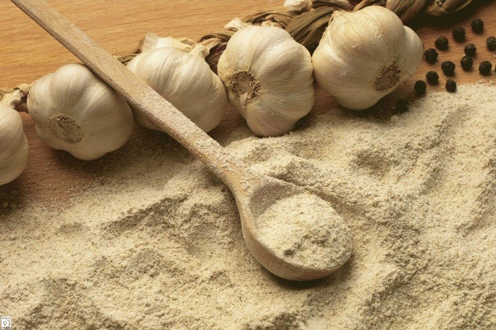 طرح توجیهی پودر سیر