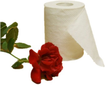 طرح توجیهی احداث واحد تولید دستمال کاغذی طرح توجیهی احداث واحد تولید دستمال کاغذی