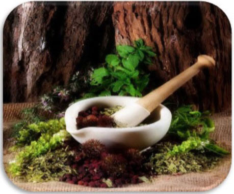 امکانسنجی و طرح توجیهی فنی اقتصادی احداث واحد تولید انواع گیاهان دارویی و تهیه دارو از آنها امکانسنجی و طرح توجیهی فنی اقتصادی احداث واحد تولید انواع گیاهان دارویی و تهیه دارو از آنها