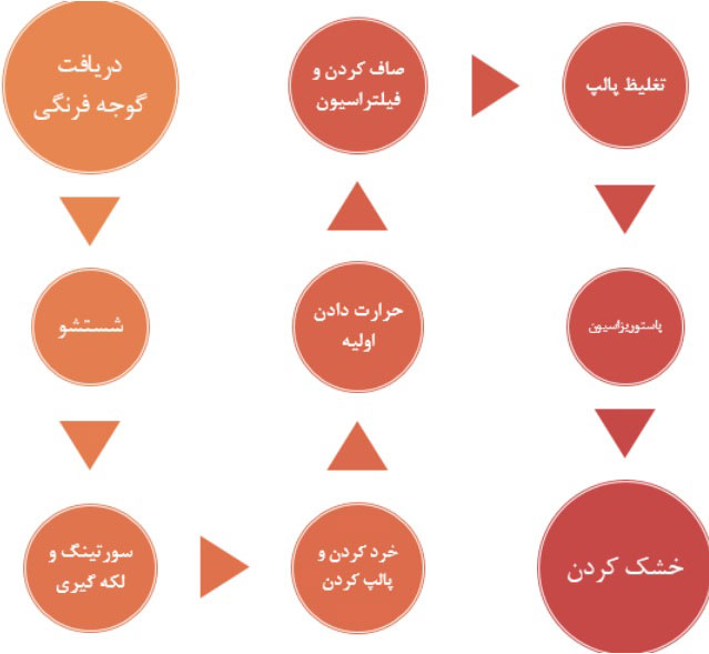 طرح توجیهی احداث واحد تولید پودر گوجه فرنگی طرح توجیهی احداث واحد تولید پودر گوجه فرنگی