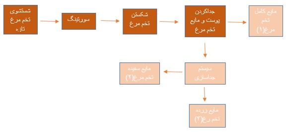 3طرح توجیهی احداث واحد تولید پودر و مایع پاستوریزه تخم مرغ