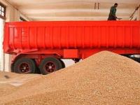 اختصاص ۳ هزار میلیارد تومان تسهیلات برای خرید گندم داخلی