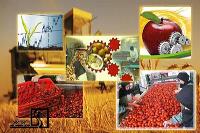 طرح توجیهی کشاورزی ( Agricultural Feasibility Study‎)