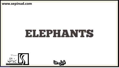 فیلها(Elephants)