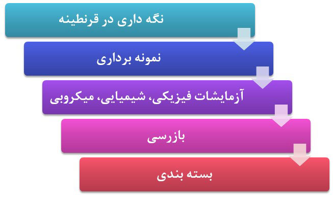 طرح توجیهی احداث واحد تولید پودر زعفران در کپسول3