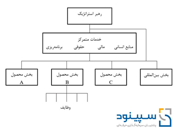 ساختار سازمانی بخشی