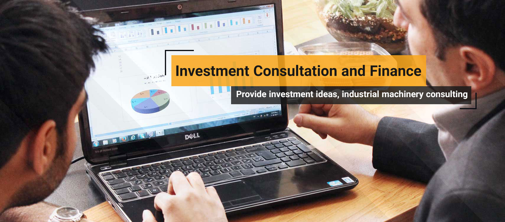 Business Consultation and Investment