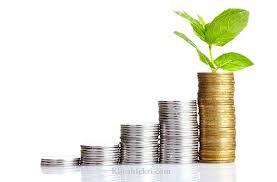 فرآیند دریافت تسهیلات در بانک ها و صندوق توسعه ملی